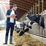 Dedicated Dairy Support Program. 