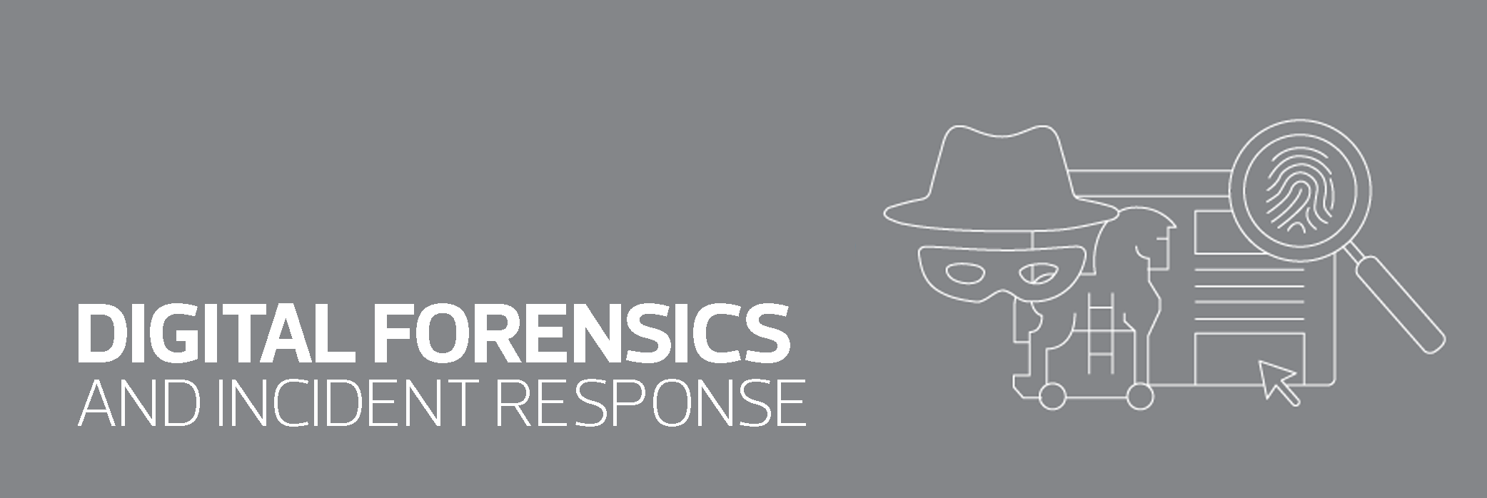 Digital Forensics services provided by RSM