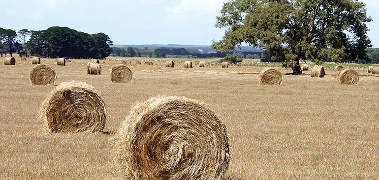 hay-bales.jpg