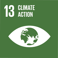 sdg13.png