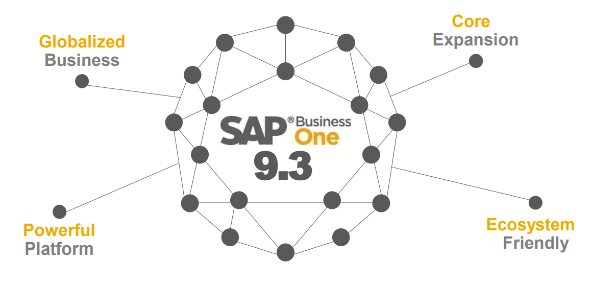 sapbusinessone_9.3.png