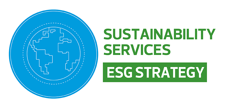 sustainability service esg strategy