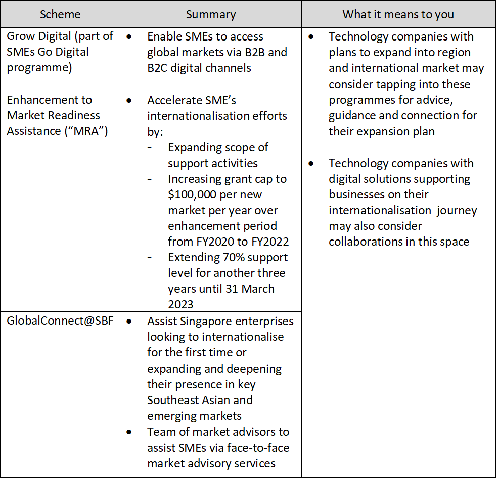 Table showing the scheme available for expand beyond home market