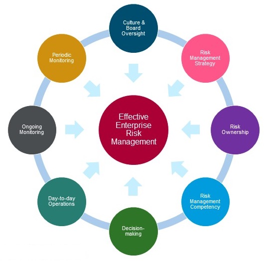 Diagram showing the 8 Drivers of Effective Enterprise Risk Management which includes Risk Management Strategy, Risk Ownership, Risk Management Competency, Decision making, Day to day operations, Ongoing monitoring, Periodic monitoring and Culture and Board Oversight. 