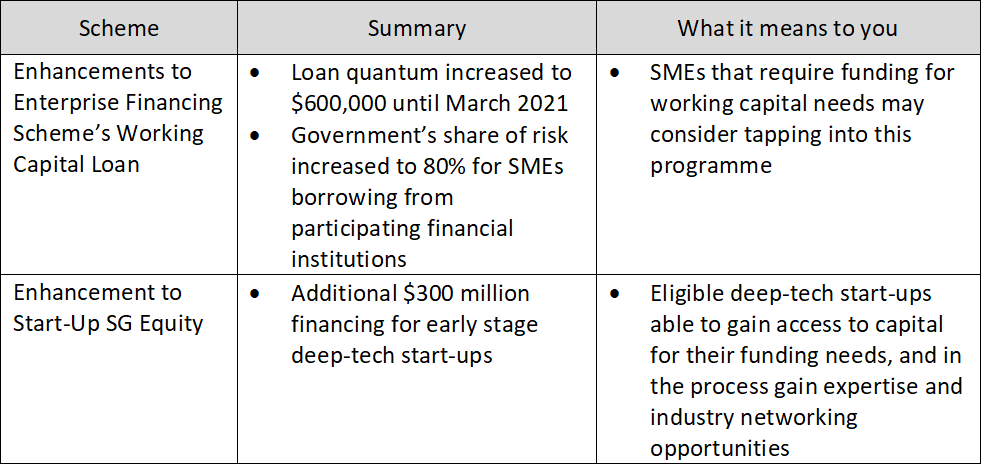 Table showing the scheme available for financing support in Budget 2020