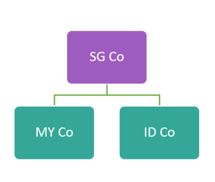 Direct Holding Share Structure