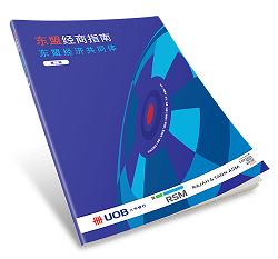 res_publication_ASEANguide_CN.png